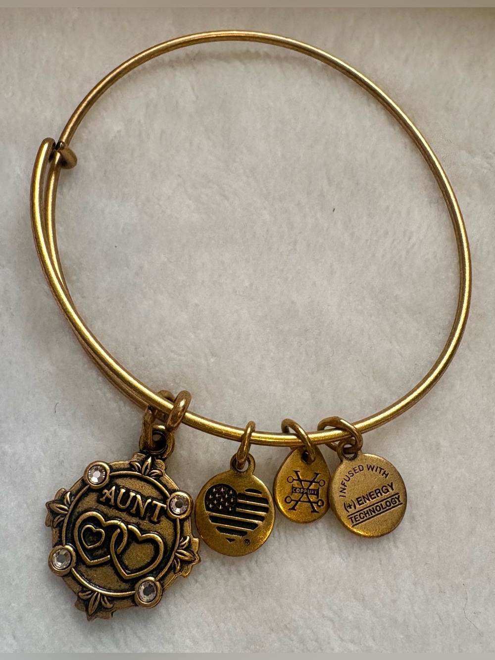 Alex and Ani Gold-Tone 'Aunt' Charm Bangle Bracelet